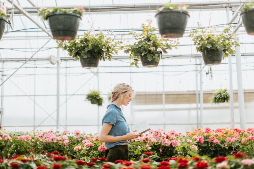 suspendre les plantes