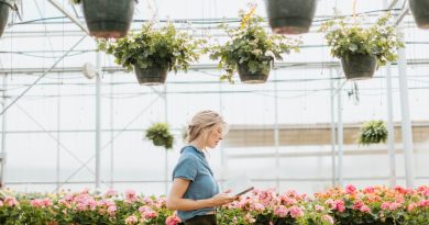 suspendre les plantes