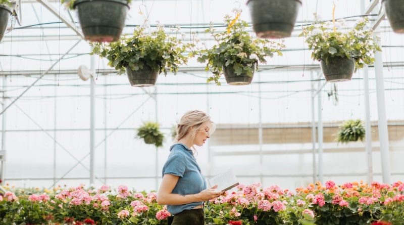 suspendre les plantes