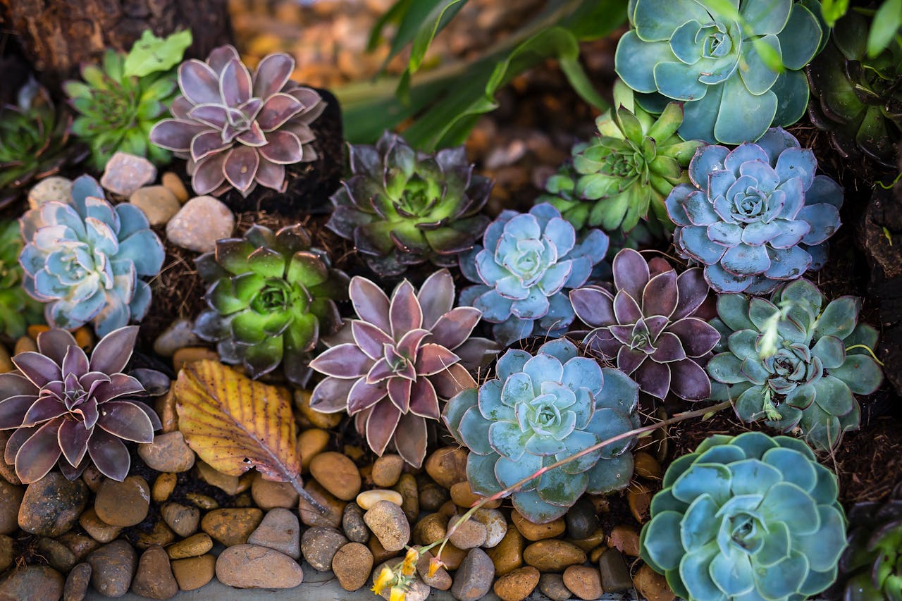 Créer le jardin paysager harmonieux et accueillant