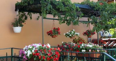 Créer un jardin paysager harmonieux et accueillant