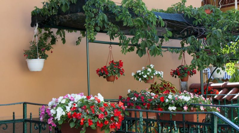 Créer un jardin paysager harmonieux et accueillant