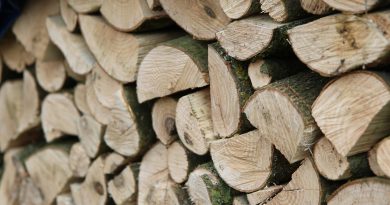 comprendre l'équivalent en m³ du Stère de bois
