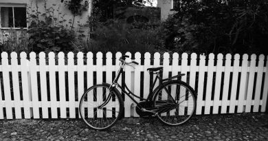 guide et conseils pratiques pour Construire une palissade en bois verticale